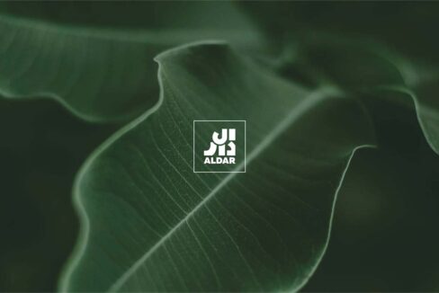 Mamsha Garden Saadiyat Island-38