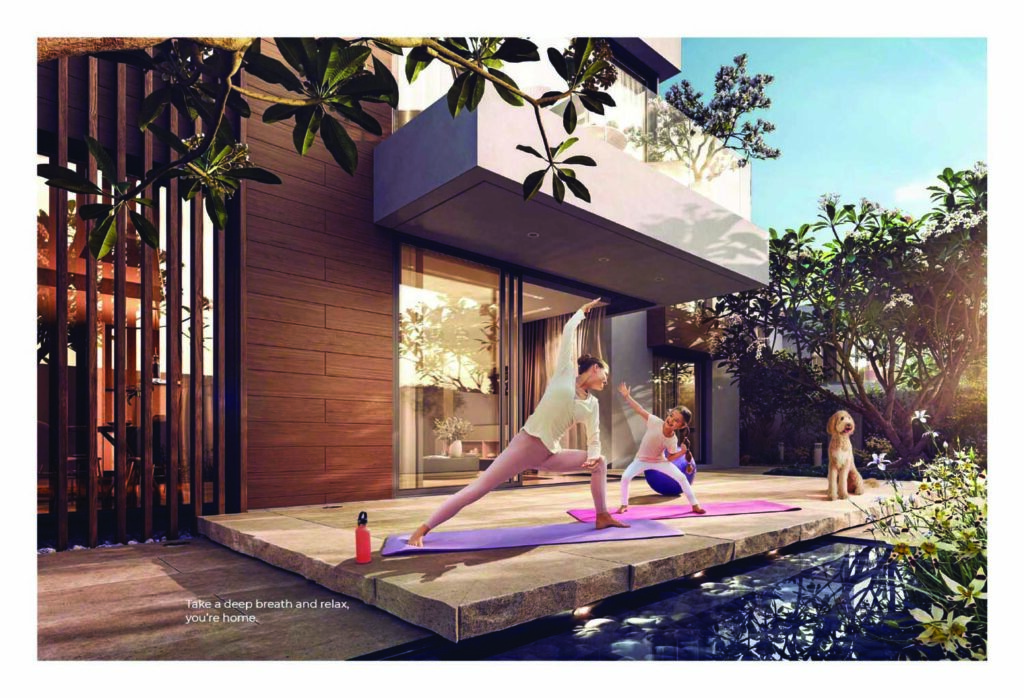 Saadiyat Reserve the dunes-21