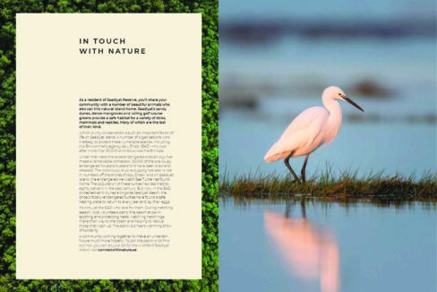 Saadiyat Reserve the dunes-45